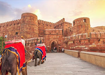 Taj Mahal Same Day Tour from Jaipur